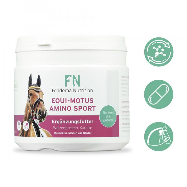 Equi Motus Amino Sport - Pferde-Ergänzungsfutter für Muskeln und Energiehaushalt mit hochdosierten Aminosäuren